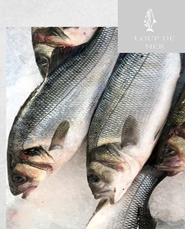LOUP DE MER