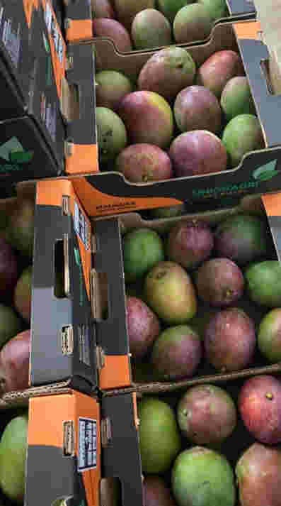 Fruit trade