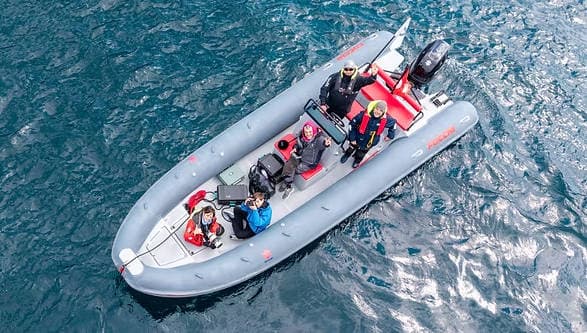FOCCHI SUPPORT RIB