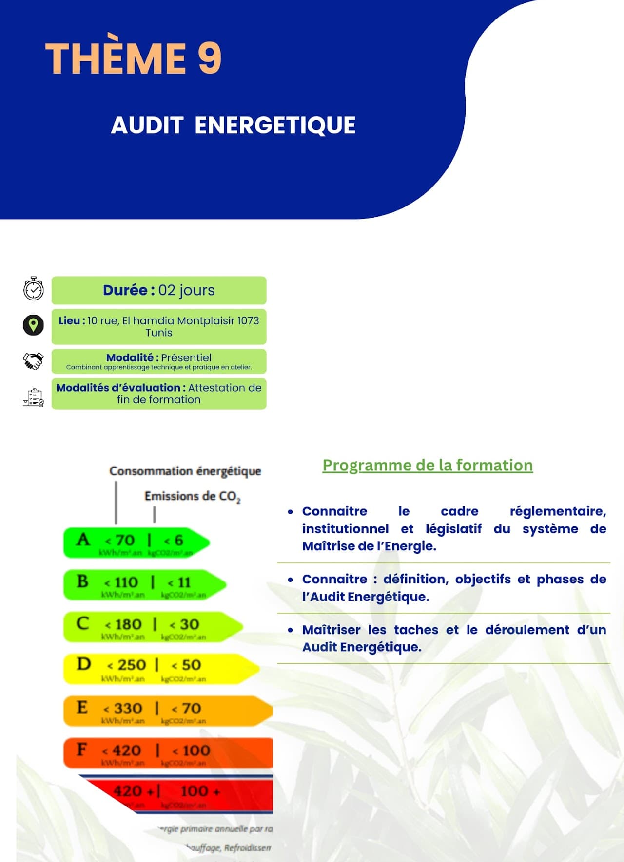 Energy Audit